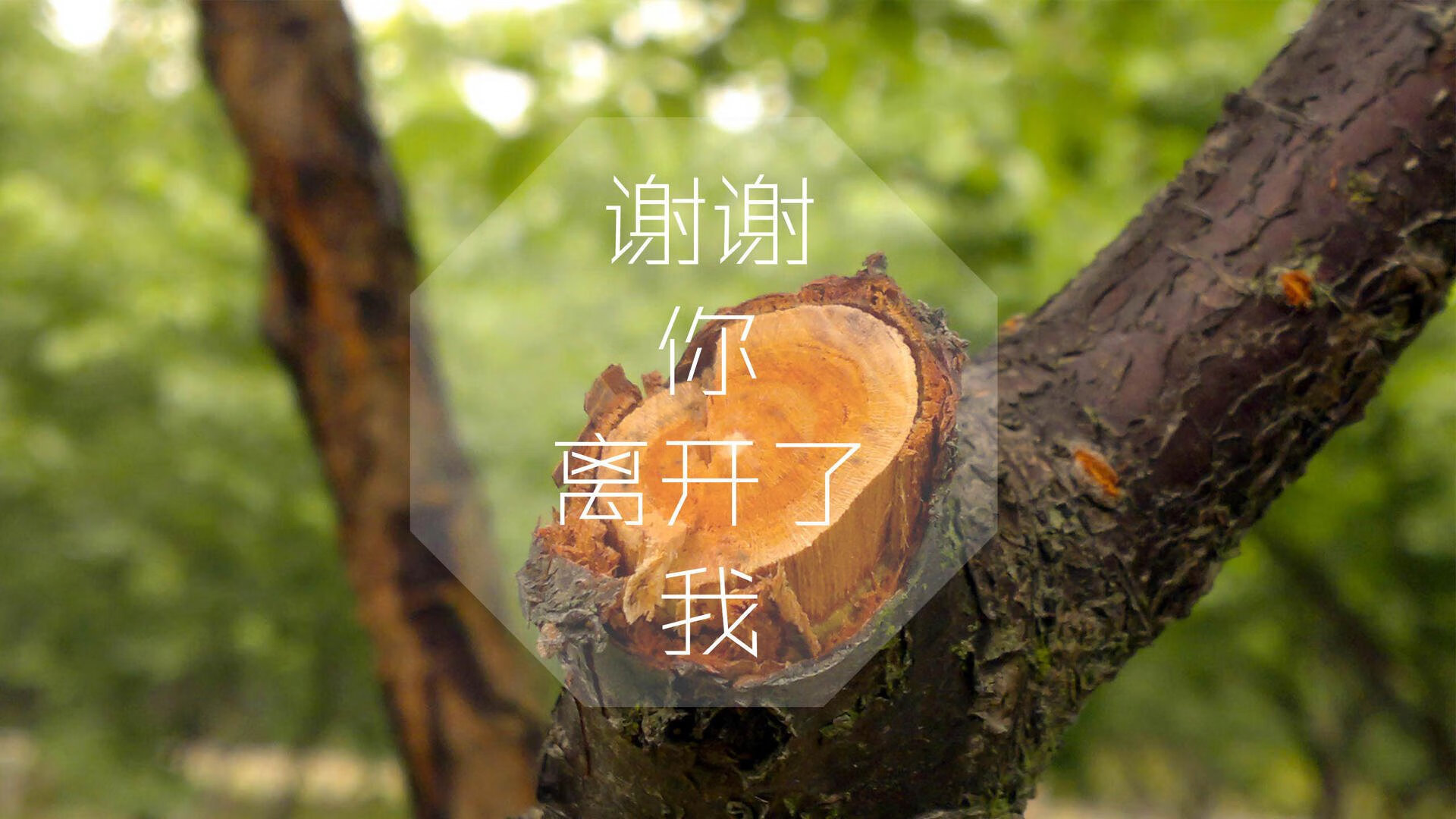 国内铁矿粉价格走势(铁矿石粉价格)